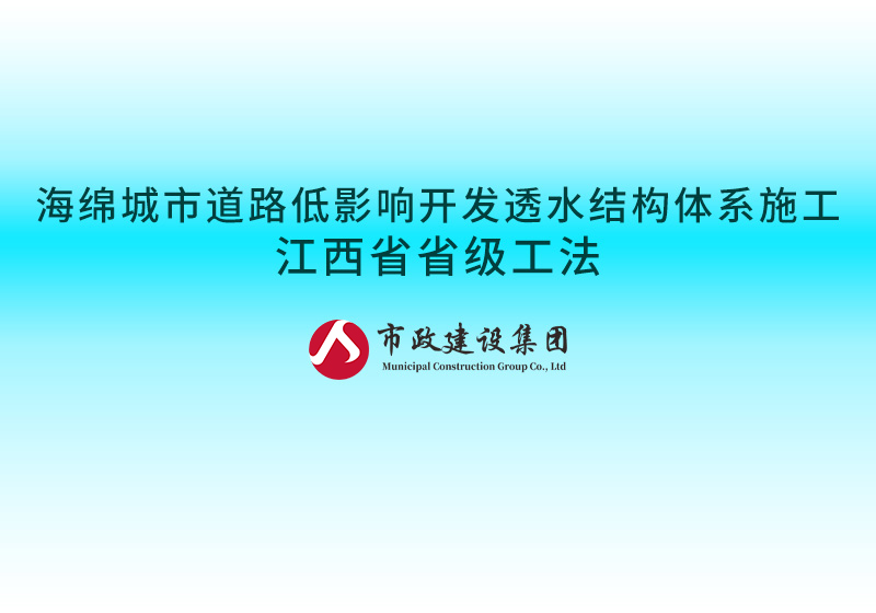 海綿城市道路低影響開發(fā)透水結(jié)構(gòu)體系施工江西省省級工法800.jpg